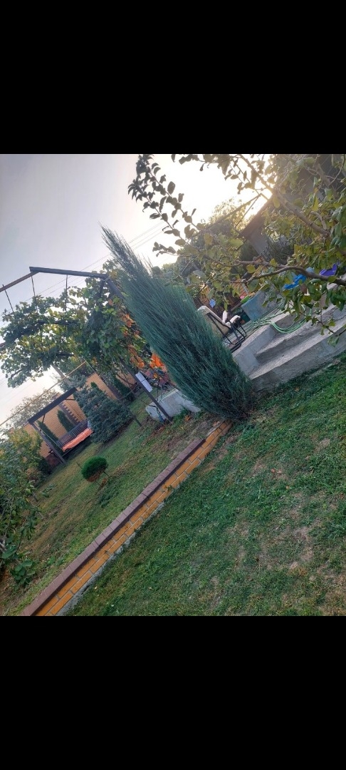 продажа дома номер H-173509 в Южном, фото номер 14